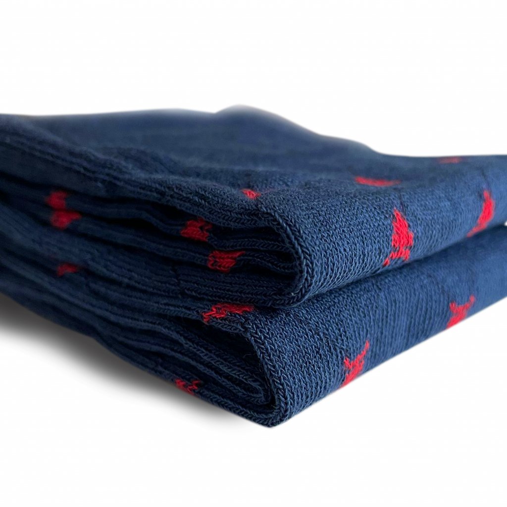 Cotton socks blue REDFIR